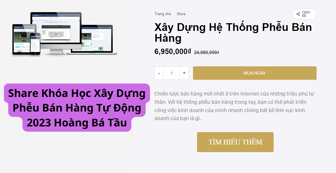 Xay Dung Pheu Ban Hang Tu Dong 2023 Hoang Ba Tau