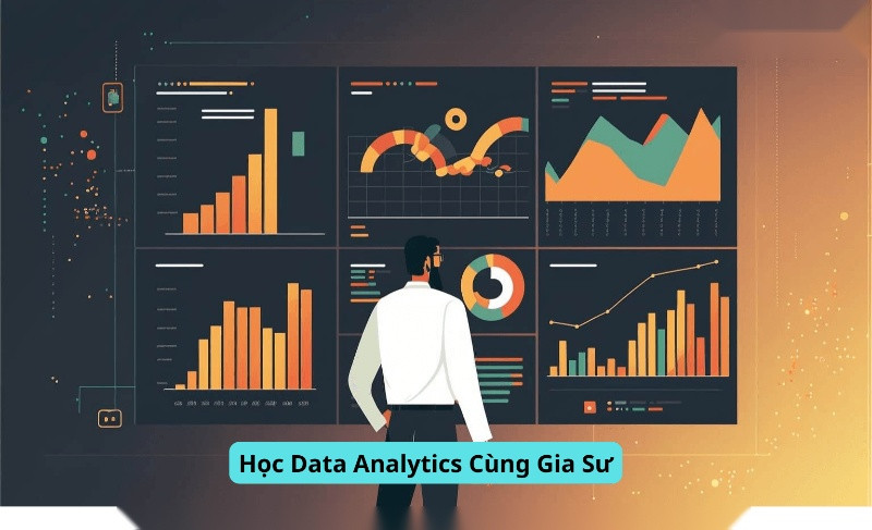 Học Data Analytics Cùng Gia Sư