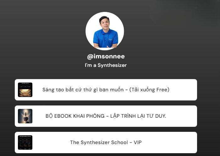 Chương Trình Synthesizer School Của Imsonnee Thinking School