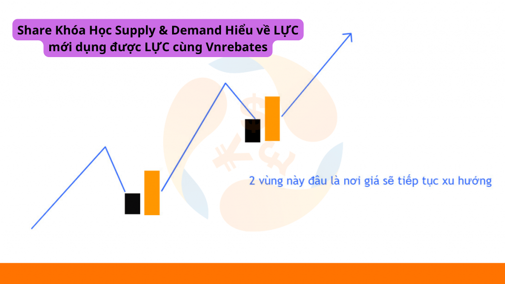 khóa học chia sẻ vn rebates hiểu về lực mới dụng được lực supply demand