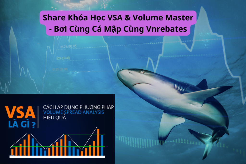 share khóa hoc vsa volume master - bơi cùng cá mập VNRebates